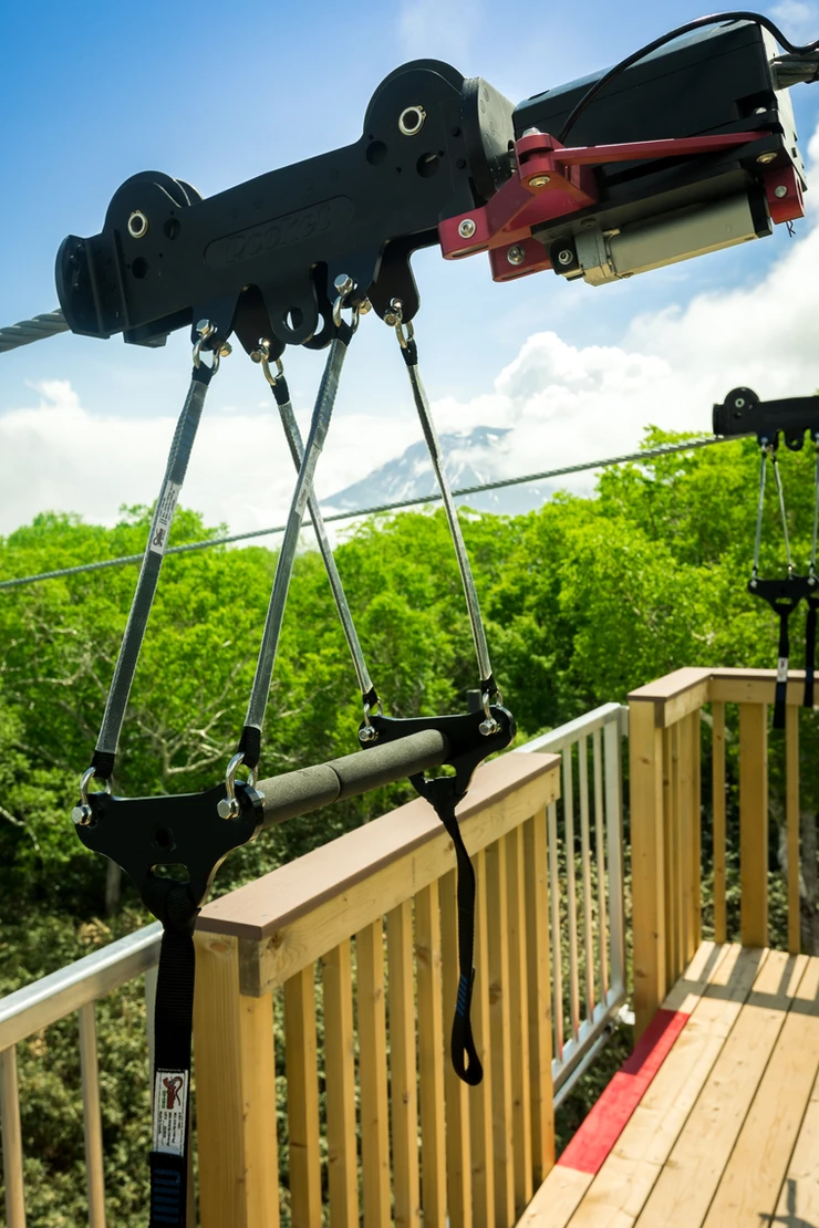 37fdbd_6b6355dfa9c34f818cdbc85291a1fe3a_mv2-1 zipline launcher